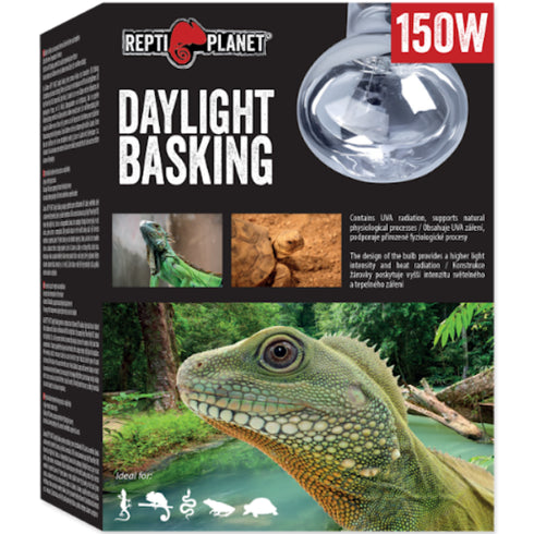 Bec pentru terariu ReptiPlanet Daylight Basking Spot 150W